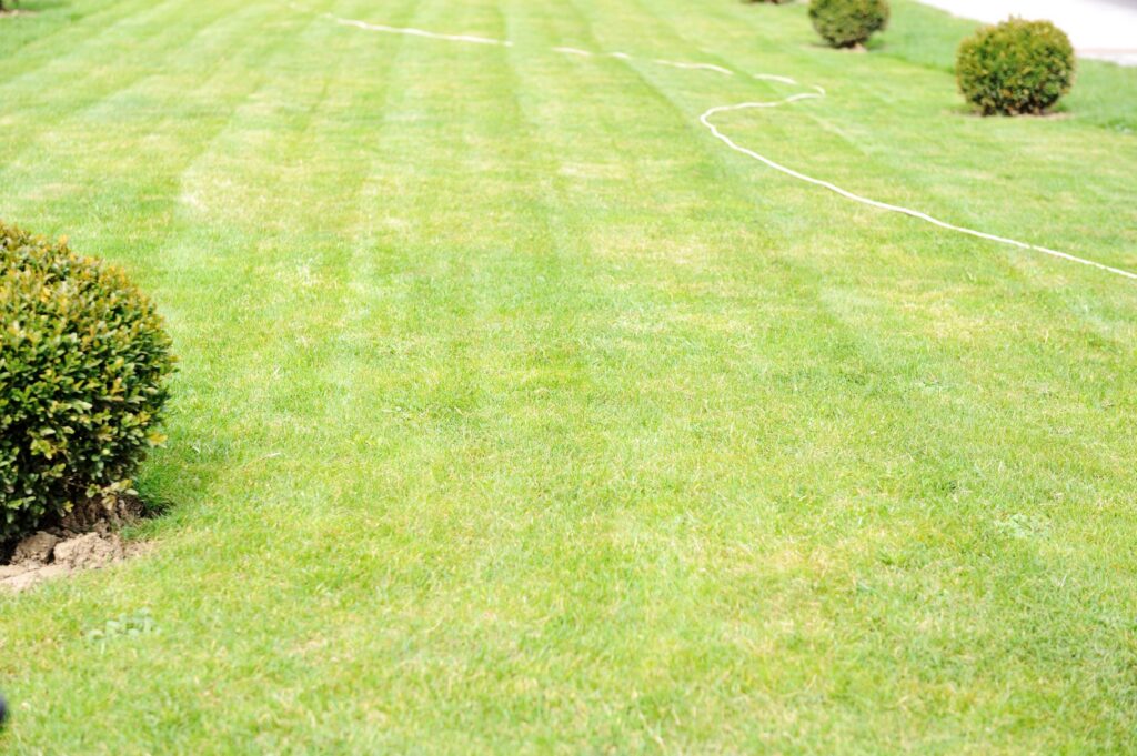 landscaping materials