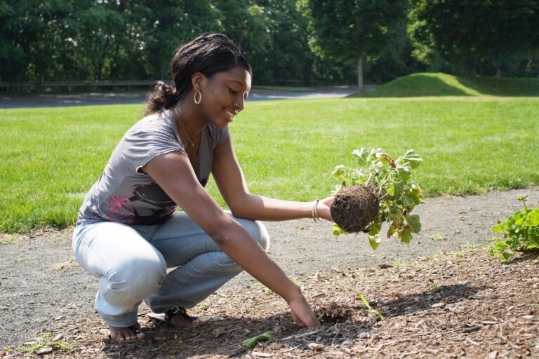 3 Landscape Trends for 2022