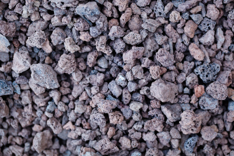 Desert Landscaping Tips
