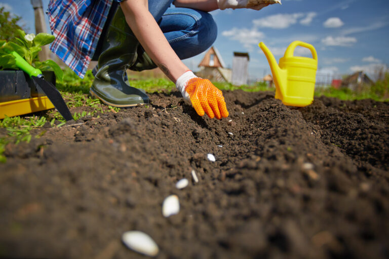 Popular Ways to Use Landscaping Rocks